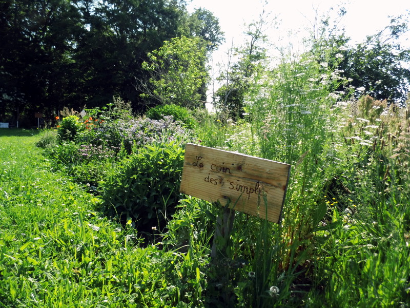 Jardin partagé à Ygrande 03