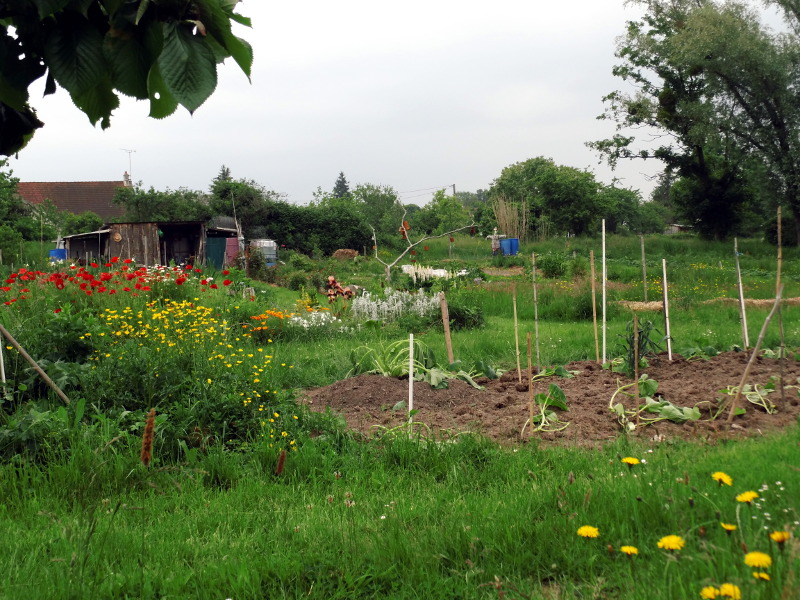jardin partagé à ygrande